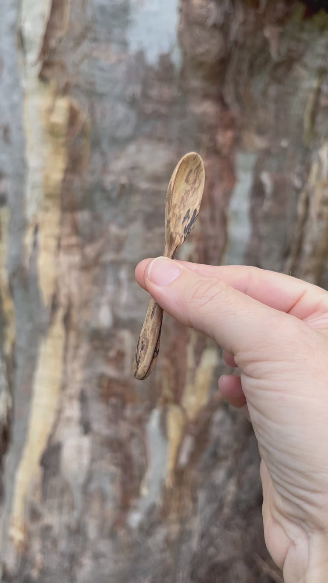 Spalted Tiny Spoon
