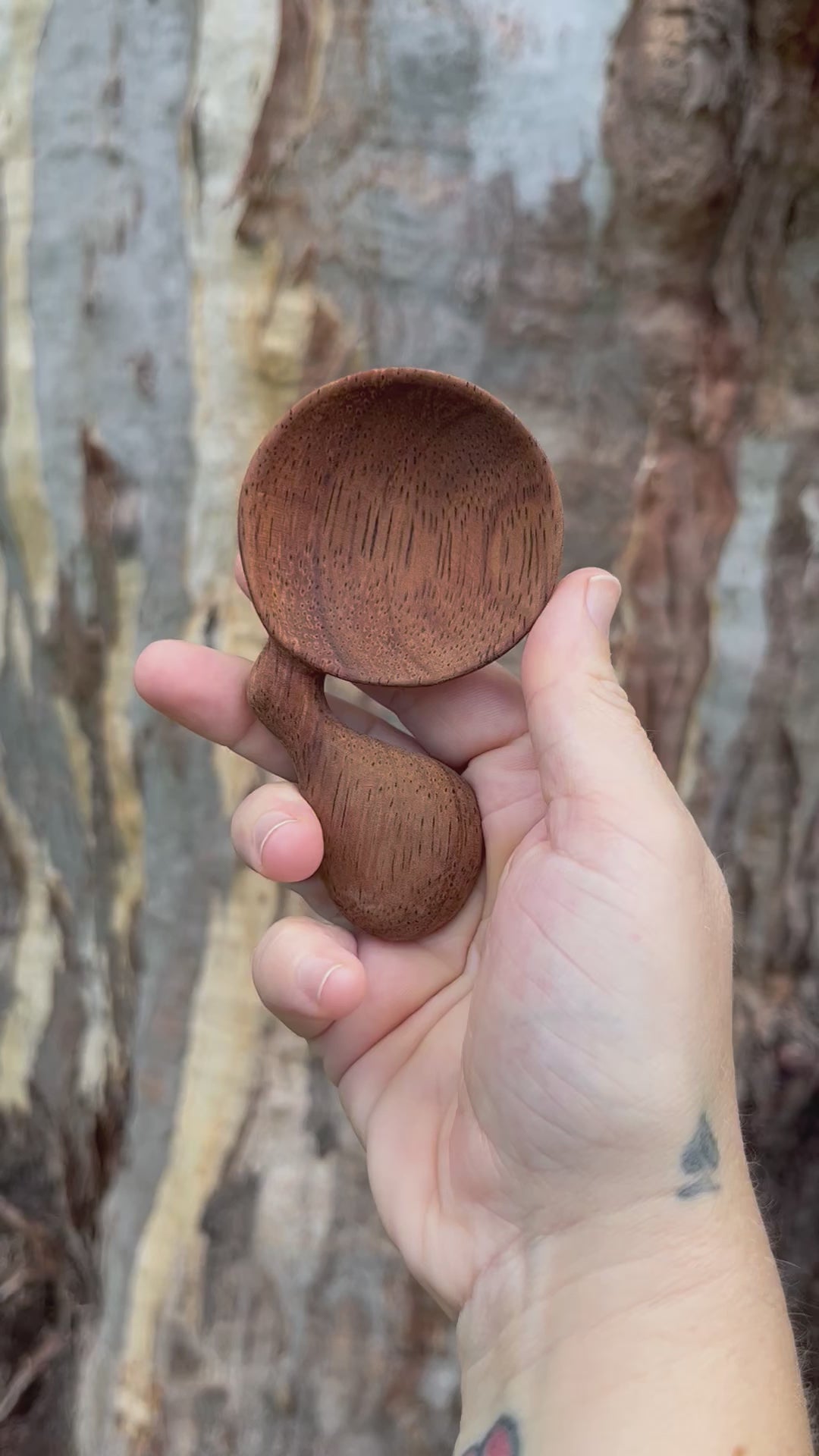 Oregon Walnut Wonky Scoop